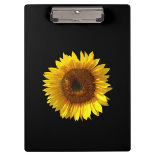 Sonnenblume Zwischenablage Klemmbrett