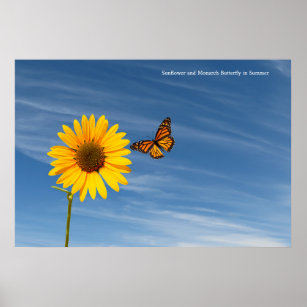 Sonnenblume Und Schmetterling Kunst Poster Zazzle De