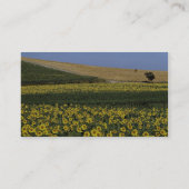 Sonnenblumefelder, Toskana, Italien Visitenkarte (Rückseite)
