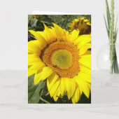 Sonnenblumegeburtstagskarte Karte (Rückseite)