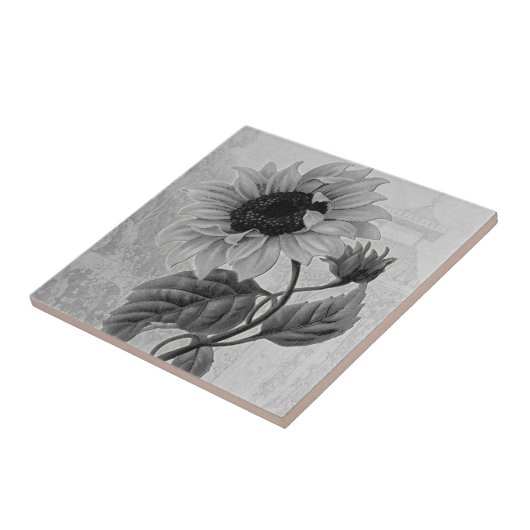 Sonnenblumehelianthus-Monochrom Fliese (Seite)