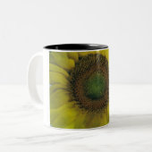 SonnenblumeKaffeetasse Zweifarbige Tasse (Vorderseite Links)