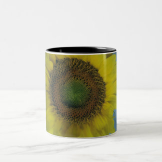 SonnenblumeKaffeetasse Zweifarbige Tasse