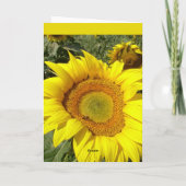 Sonnenblumekarte Karte (Rückseite)