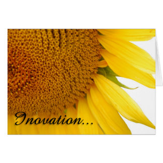 Sonnenblumen
