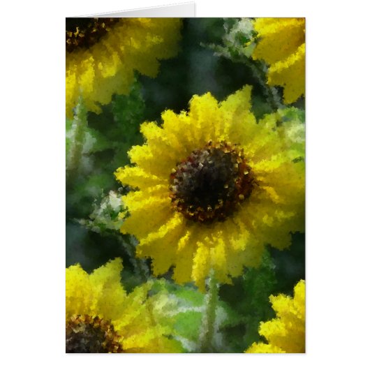 Sonnenblumen (Vorne)