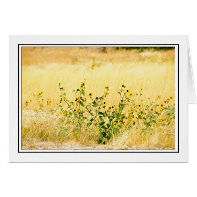 Sonnenblumen (Vorderseite (Horizontal))