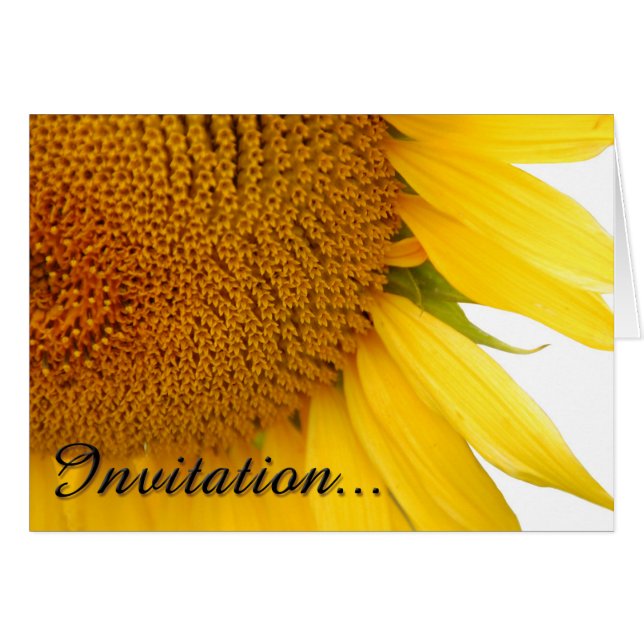 Sonnenblumen (Vorderseite (Horizontal))