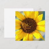 Sonnenblumen (Vorne/Hinten)