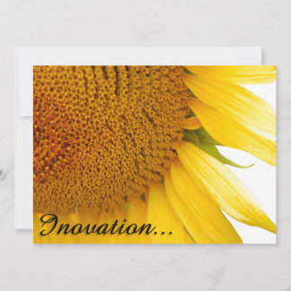 Sonnenblumen