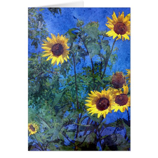 Sonnenblumen (Vorne)