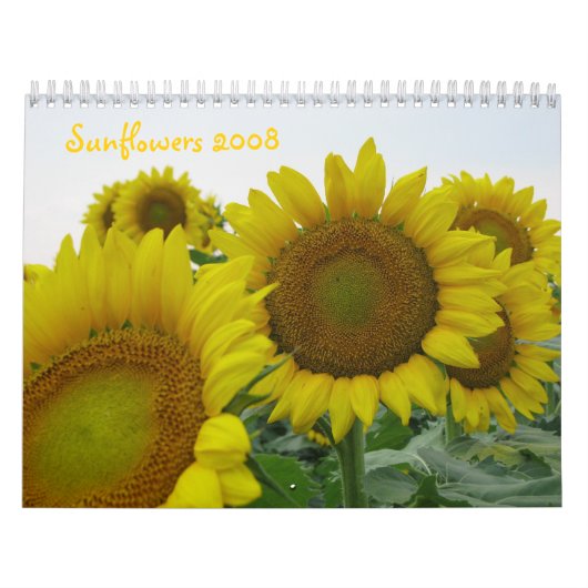 Sonnenblumen 2008 kalender (Titelbild)