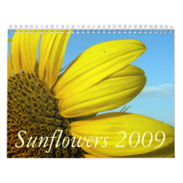 Sonnenblumen 2009 kalender
