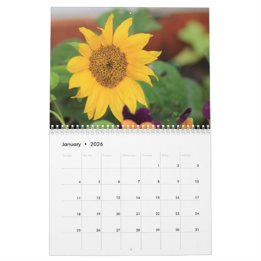Sonnenblumen 2020 Kalender (Jan 2026)
