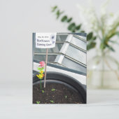 Sonnenblumen am 30. Mai 2012 Postkarte (Stehend Vorderseite)