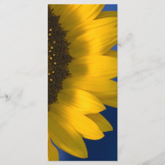 Sonnenblumen am Blue Wedding Programm (Vorderseite)