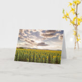 Sonnenblumen am Sonnenuntergang Karte (Gelbe Blume)