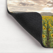 Sonnenblumen am Sonnenuntergang Mousepad (Ecke)