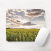 Sonnenblumen am Sonnenuntergang Mousepad (Mit Mouse)