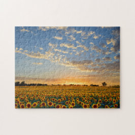 Sonnenblumen am Sonnenuntergang Puzzle