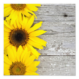 Sonnenblumen an einem Tisch Fotodruck