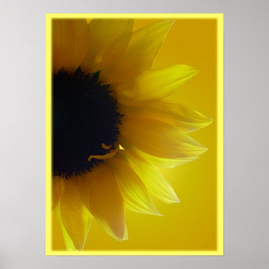 Sonnenblumen Art Printing Schöne Blume Drucken Poster (Vorne)