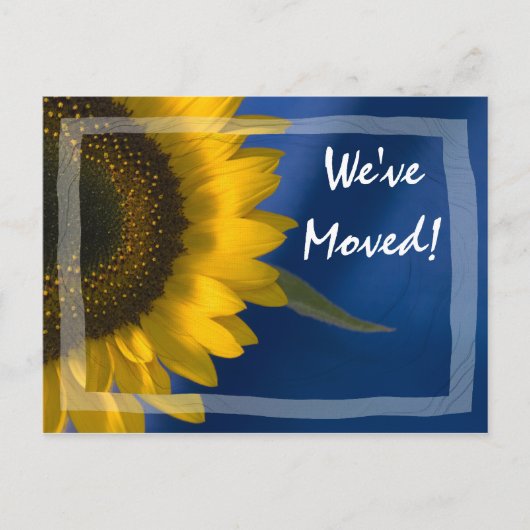 Sonnenblumen auf Blue Change Address Ankündigung (Vorderseite)