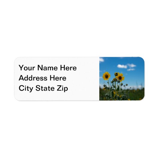 Sonnenblumen auf Blue Sky (Vorne)