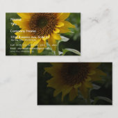 Sonnenblumen auf dem Gebiet Visitenkarte (Vorne/Hinten)