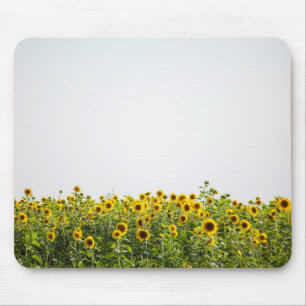 Sonnenblumen auf einem Feld Mousepad