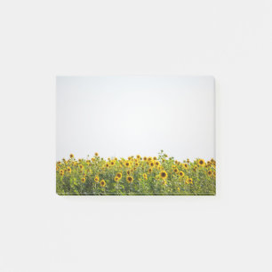Sonnenblumen auf einem Feld Post-it Klebezettel