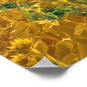 Sonnenblumen auf einem Feld - Poster (Ecke)