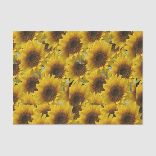 Sonnenblumen aus dekorativem Papiertaschentuch Seidenpapier (Vorderseite)