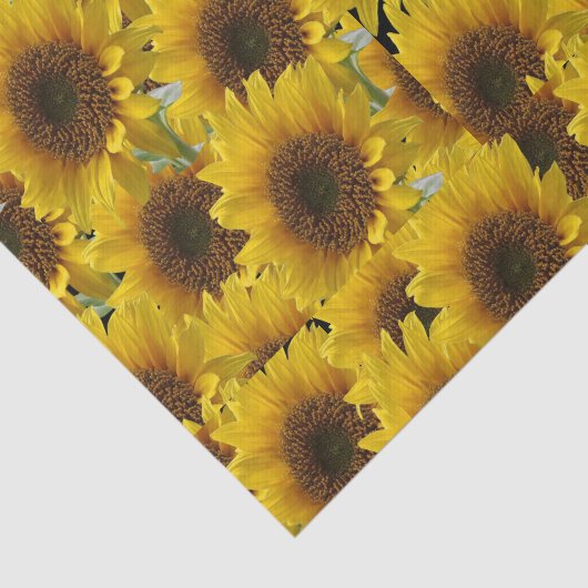 Sonnenblumen aus dekorativem Papiertaschentuch Seidenpapier (Ausschnitt)