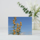 Sonnenblumen aus Minnesota Postkarte (Stehend Vorderseite)