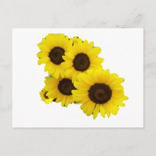 Sonnenblumen ausschneiden postkarte