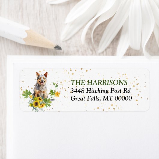 Sonnenblumen Australische Rinder-Hunde-Rücksendead (Insitu)