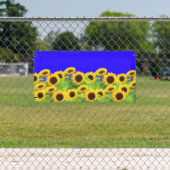 Sonnenblumen Banner Ukraine Fahnen Farben unterstü (InSitu)