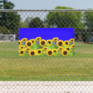 Sonnenblumen Banner Ukraine Fahnen Farben unterstü