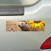 Sonnenblumen-Bär-Autoaufkleber Autoaufkleber (Auf Auto)
