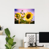 Sonnenblumen bei RHS Wisley, UK Poster (Heimbüro)