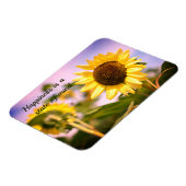 Sonnenblumen bei RHS Wisley, Vereinigtes Königreic Magnet (Linke Seite)