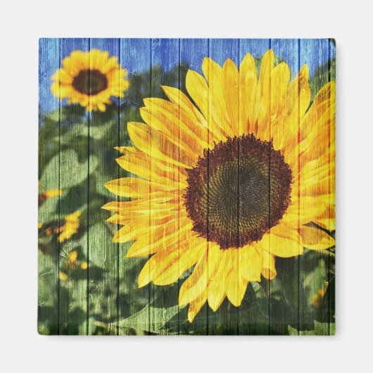 Sonnenblumen bemalt Zaun Magnet (Vorne)