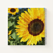 Sonnenblumen bemalt Zaun Notizblock (Rückseite)