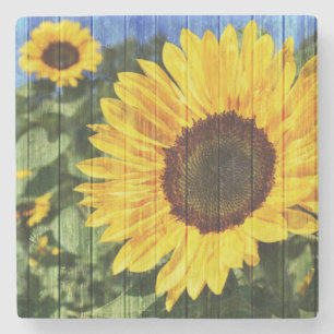 Sonnenblumen bemalt Zaun Steinuntersetzer