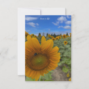 Sonnenblumen, Bienen und Blues Skies Mitteilungskarte