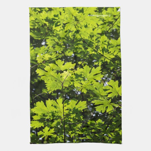 Sonnenblumen-Blätter im Wald Geschirrtuch (Vertikal)