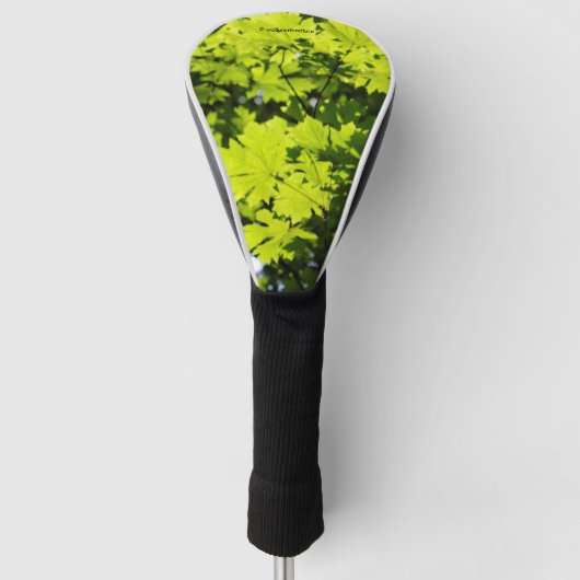 Sonnenblumen-Blätter im Wald Golf Headcover (Vorderseite)