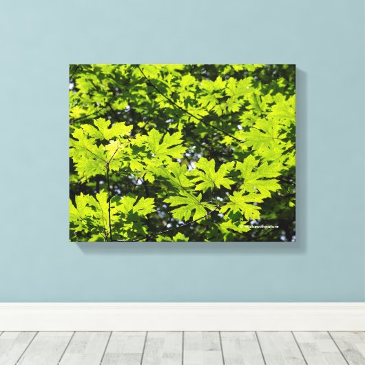 Sonnenblumen-Blätter im Wald Leinwanddruck (Insitu (Holzboden))