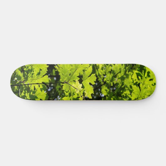 Sonnenblumen-Blätter im Wald Skateboard (Horizontal)